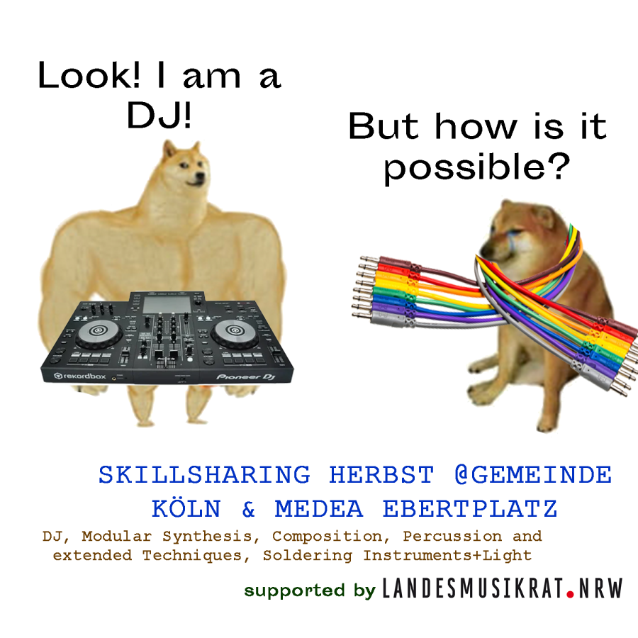 Zwei Hunde. Einer ist Profi Dj, einer noch nicht.